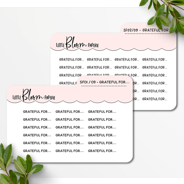 MINI Scripts | Grateful For...