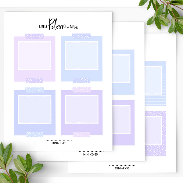 Polaroid Boxes