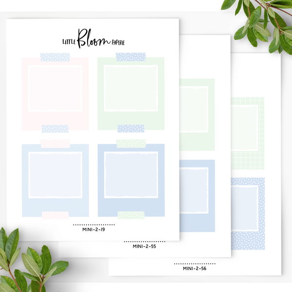 Polaroid Boxes