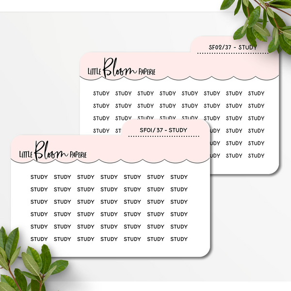 MINI Scripts | Study