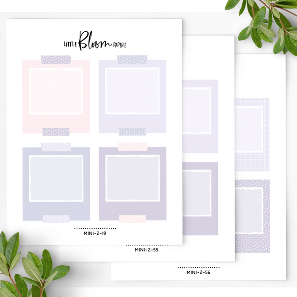 Polaroid Boxes
