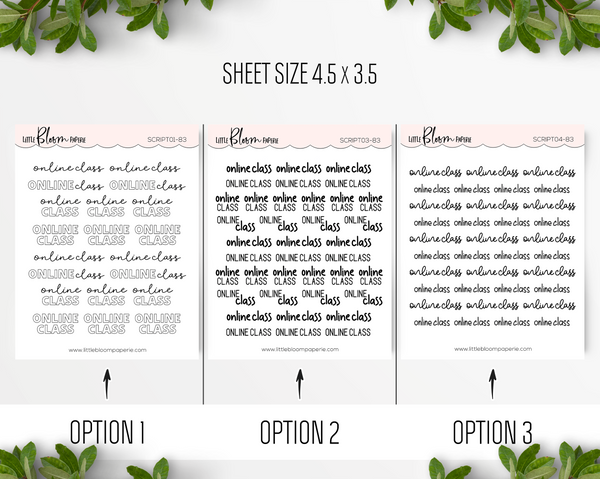 ONLINE CLASS - Script Icons
