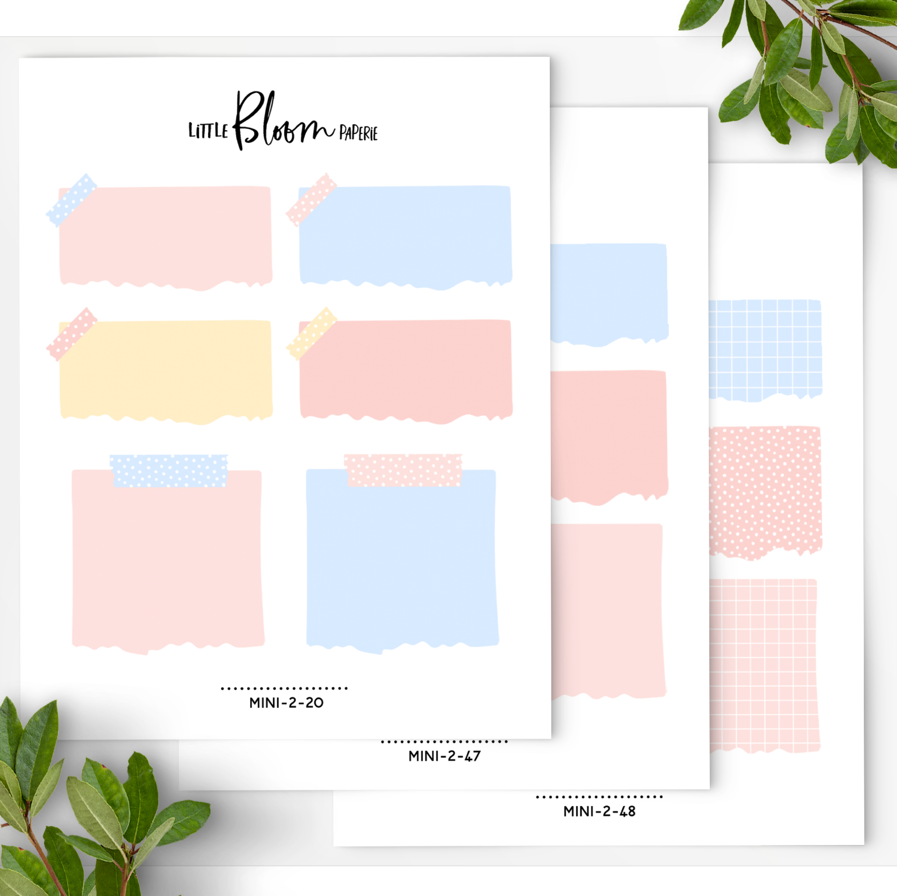 Memo Boxes