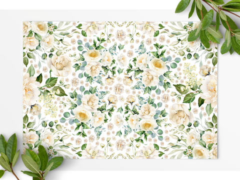 Printed Vellum & Paper | February25