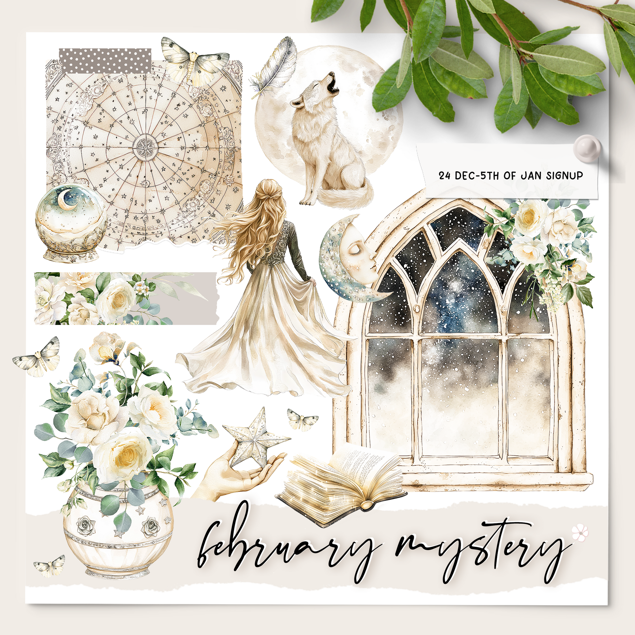 Mystery Subscription 6 Month Custom