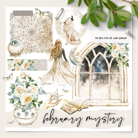 Mystery Subscription 6 Month Custom