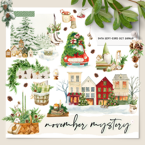November Mystery Subscription