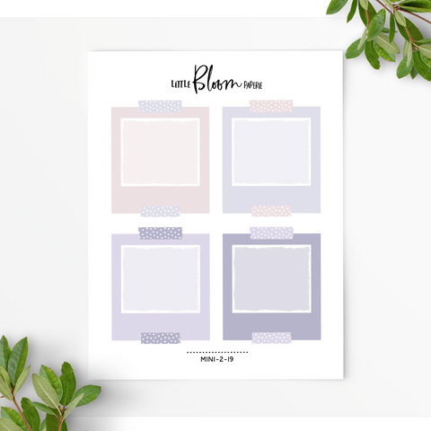 Polaroid Boxes